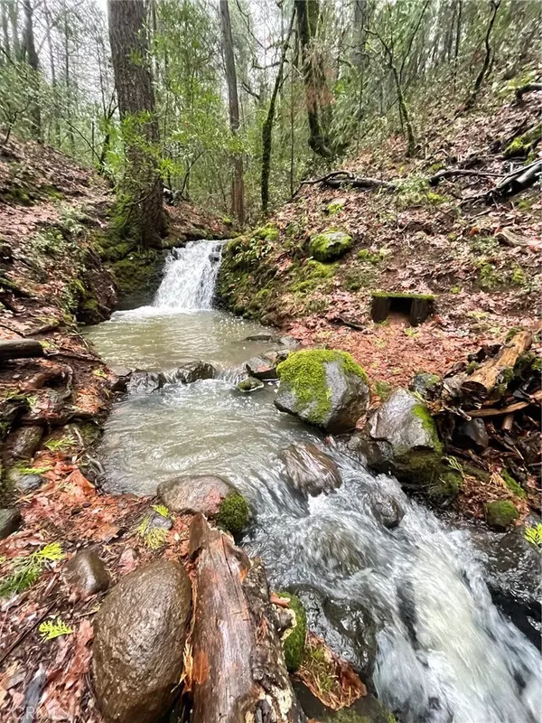 Forest Ranch, CA 95942,15001 Culiacan CT