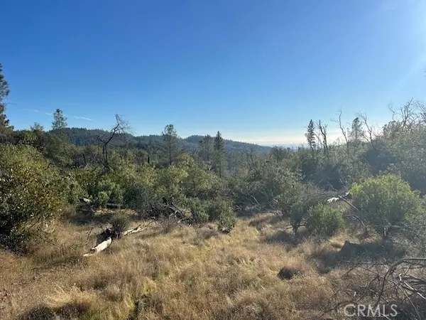 Oroville, CA 95966,0 Swedes Flat RD