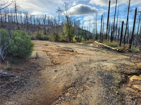 Berry Creek, CA 95916,120 Woodsmoke WAY