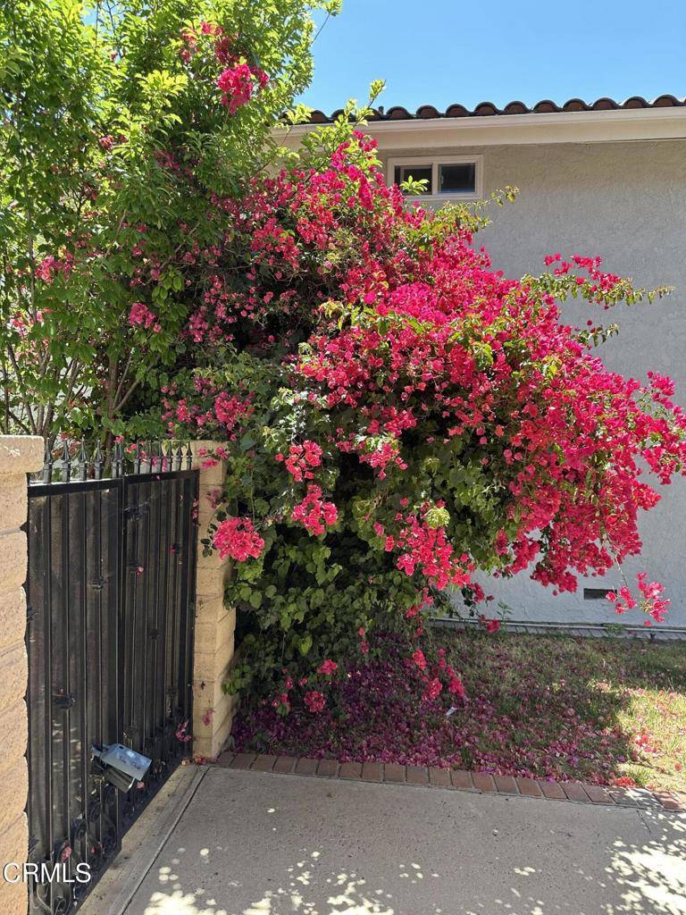 Fullerton, CA 92835,1024 Laguna TER