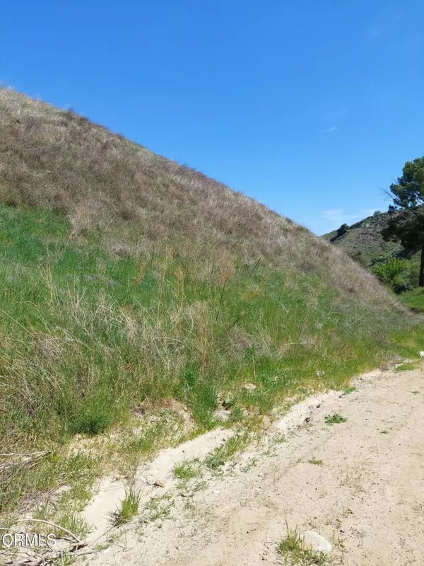 Val Verde, CA 91384,0 Loma Verde Mountainway