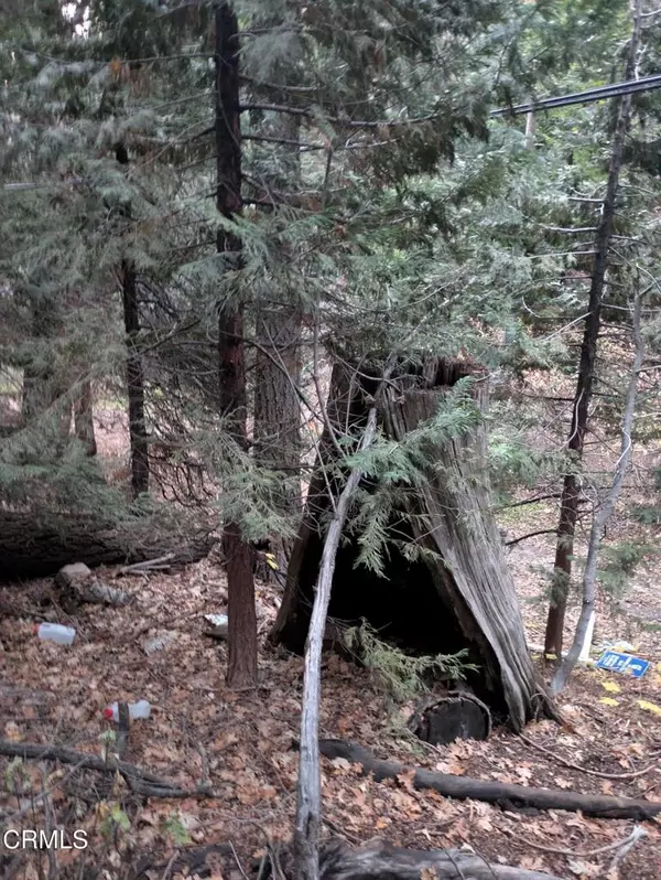 Lake Arrowhead, CA 92352,0 Fleming Creek