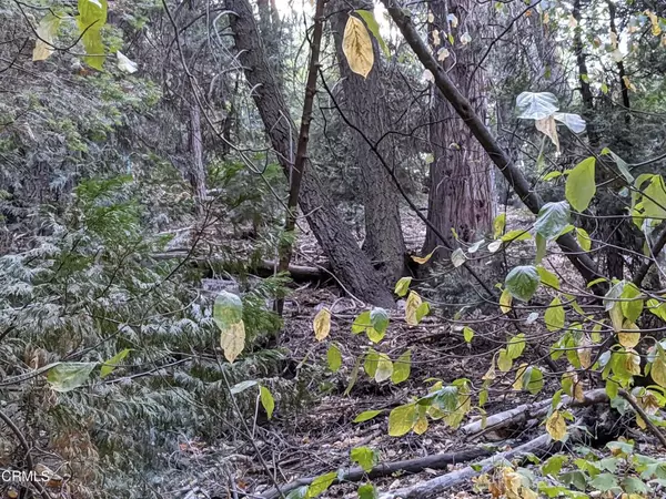 Lake Arrowhead, CA 92352,0 Fleming Creek