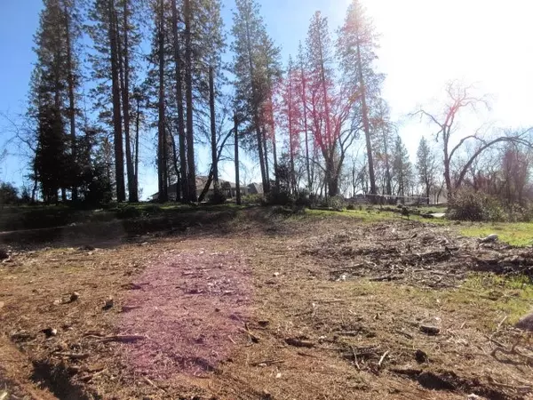 Paradise, CA 95969,300 Pinewood DR