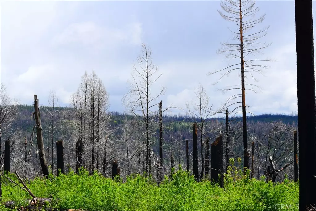 Berry Creek, CA 95916,0 A Stephens Ridge Rd