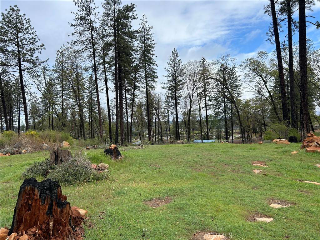 Paradise, CA 95969,1203 Wagstaff RD