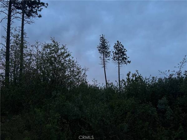 Concow, CA 94965,1 hog ranch RD