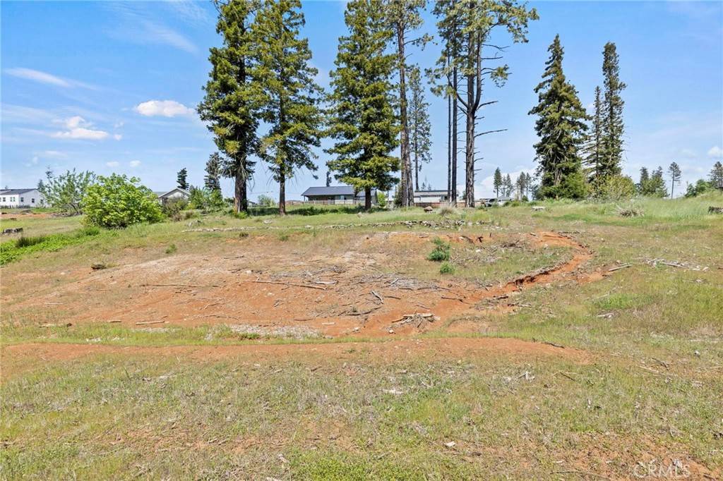 690 Brookhaven DR, Paradise, CA 95969