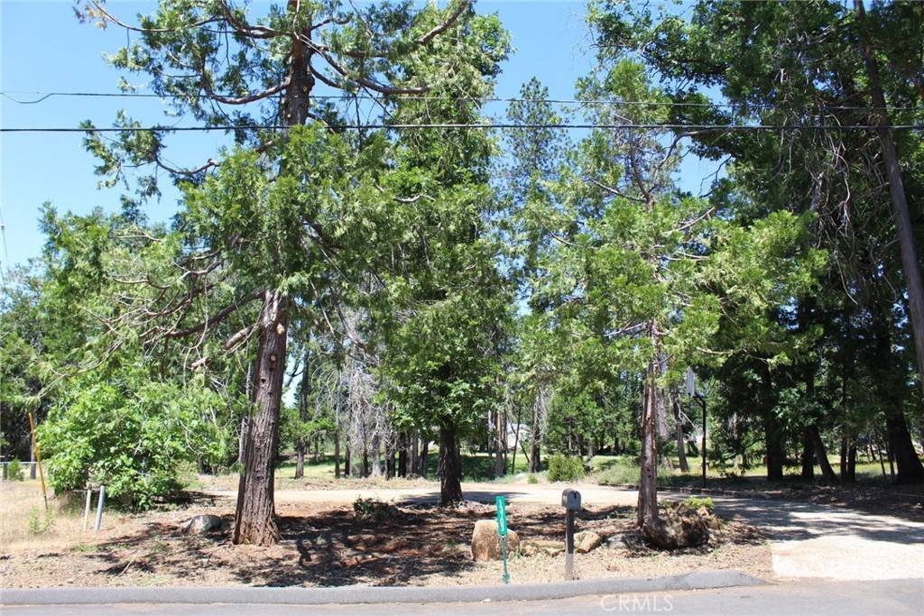 Magalia, CA 95954,13703 Endicot CIR