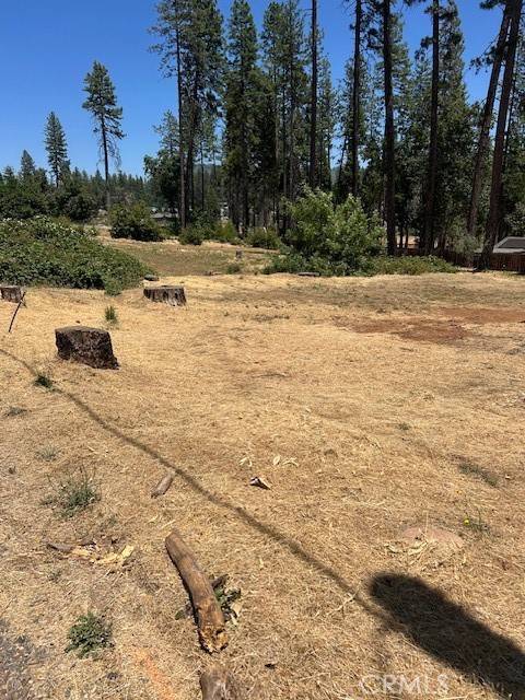 Paradise, CA 95969,6372 Forest LN