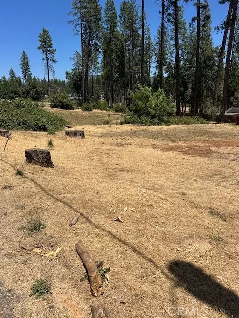 Paradise, CA 95969,6372 Forest LN