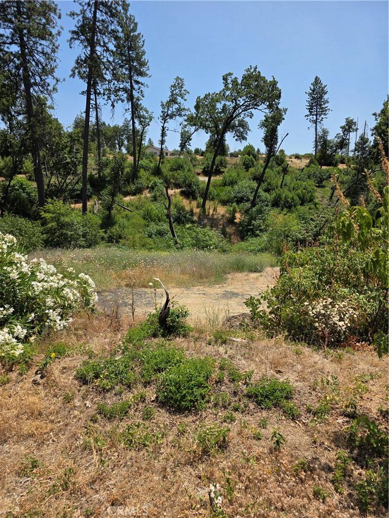 Paradise, CA 95969,1278 Storybook LN