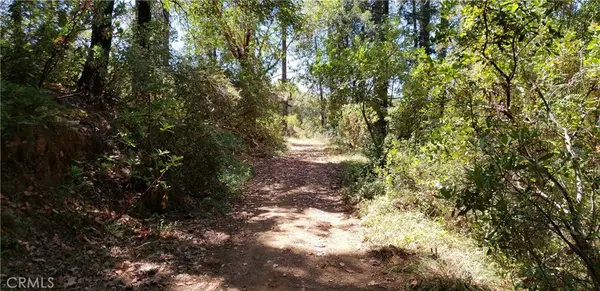 Oroville, CA 95965,0 Lumberjack Road