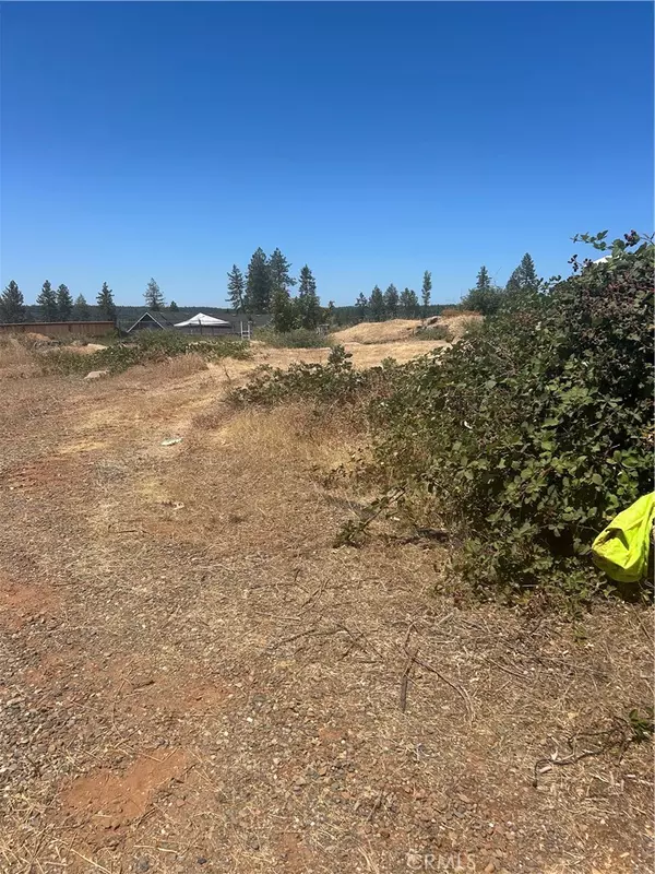 Paradise, CA 95969,8675 Skyway