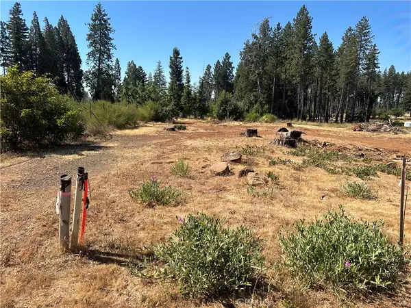 Paradise, CA 95969,1560 Warren RD