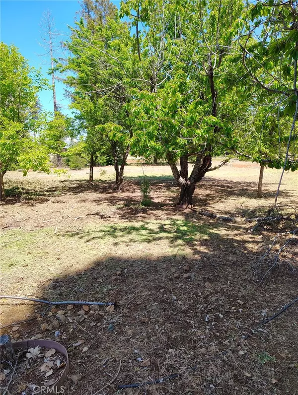 Paradise, CA 95969,6907 Linry LN