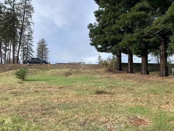 Paradise, CA 95969,0 Skyway