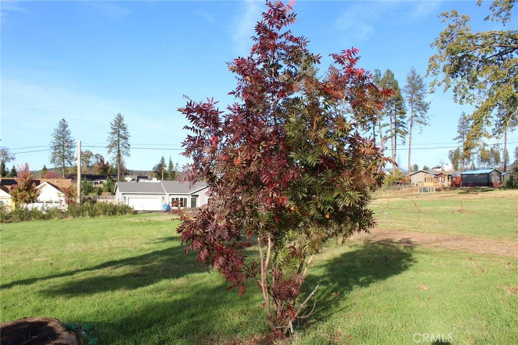 Paradise, CA 95969,676 Meyers