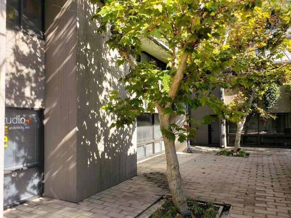 Los Angeles, CA 90041,930 Colorado BLVD #1