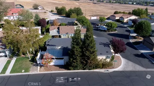 Paso Robles, CA 93446,1 Blue Jay