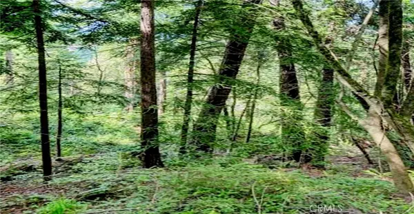 Guerneville, CA 95446,18176 HWY 116