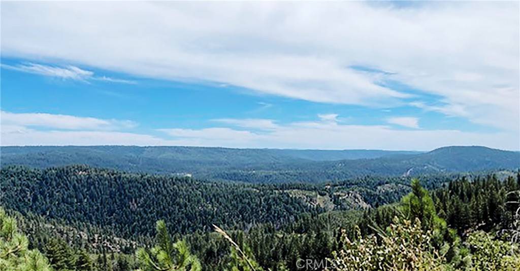Nevada City, CA 95959,15052 Red Hill Spring RD