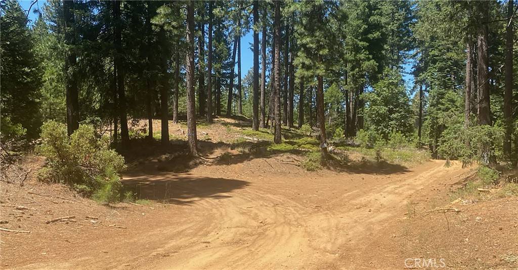 15052 Red Hill Spring RD, Nevada City, CA 95959