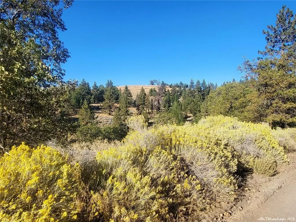 Tehachapi, CA 93561,16851 Interlaken ST