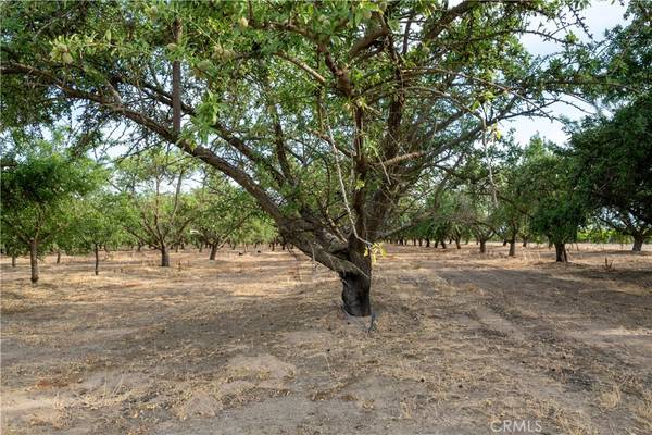Madera, CA 93637,5702 Highway 145