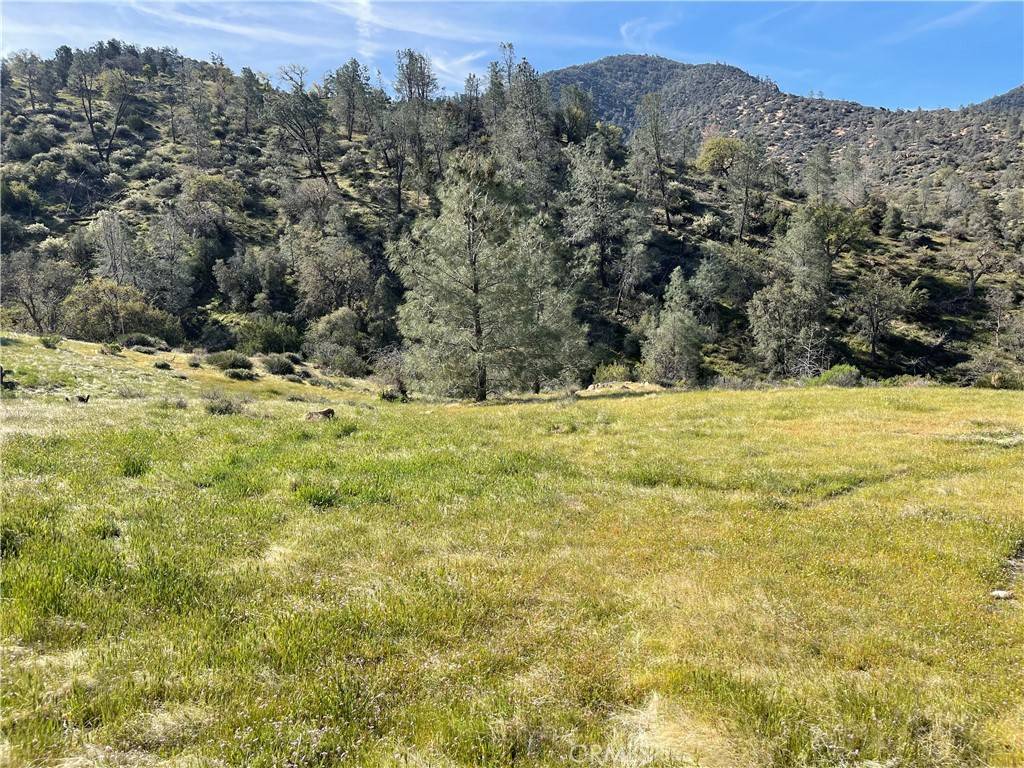 Caliente, CA 93518,0 Back Canyon Road