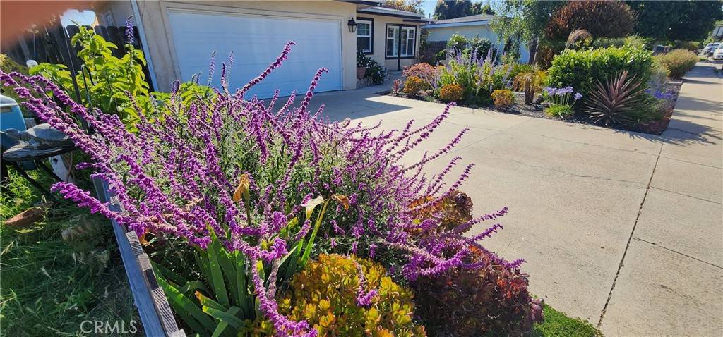 Arroyo Grande, CA 93420,532 Arroyo AVE