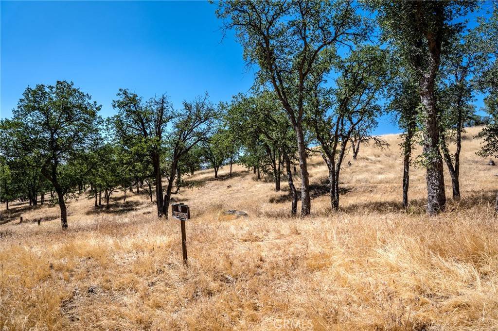 Tehachapi, CA 93561,0 Armed CT