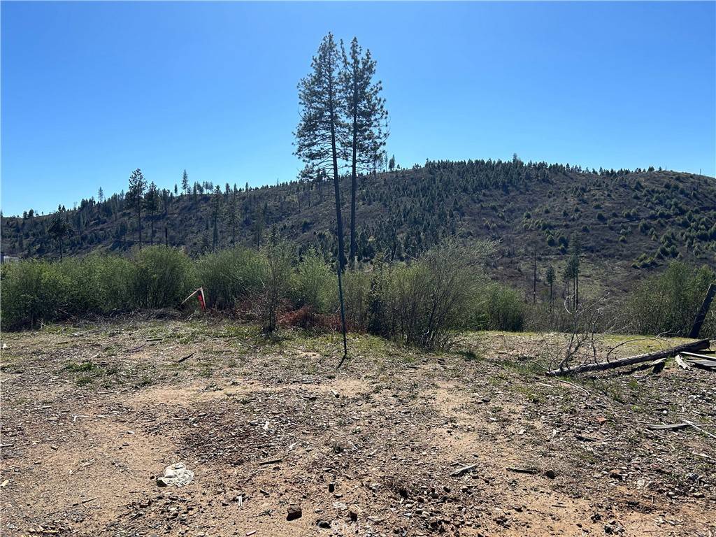 Oroville, CA 95965,1234 Hog Ranch Rd