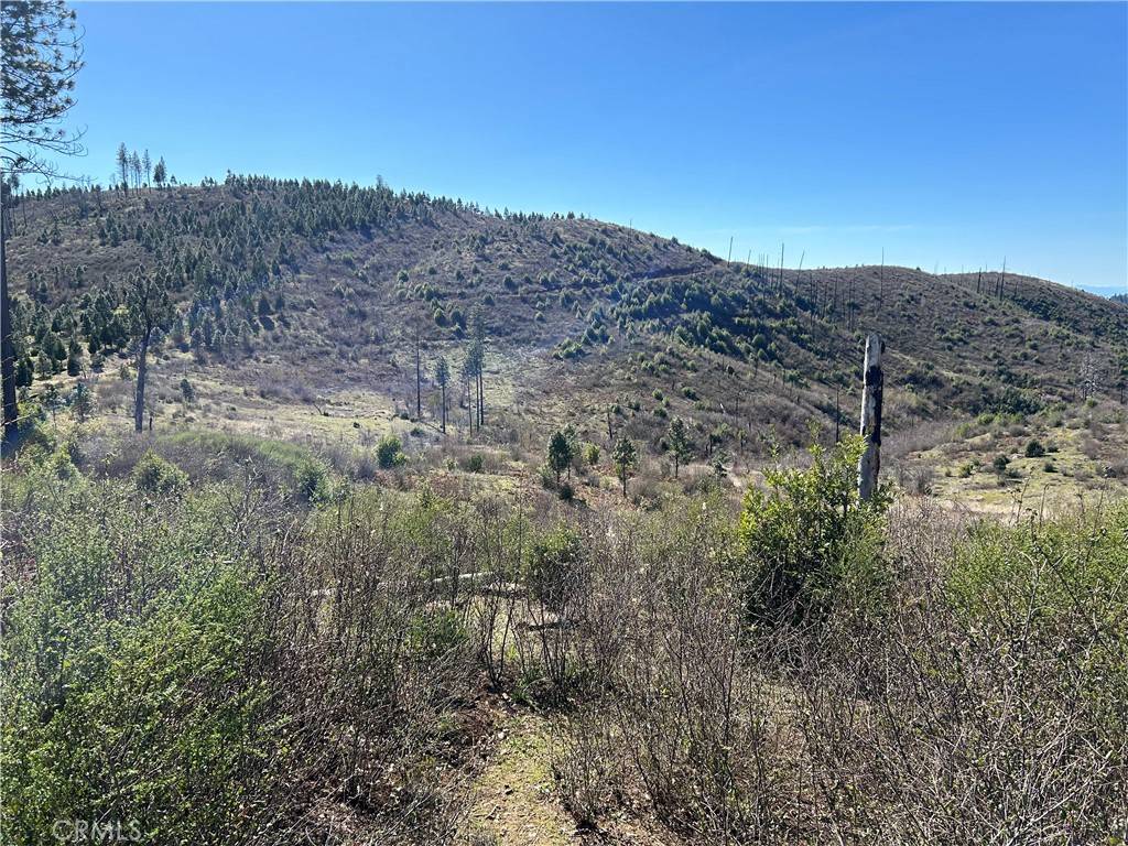 Oroville, CA 95965,1234 Hog Ranch Rd