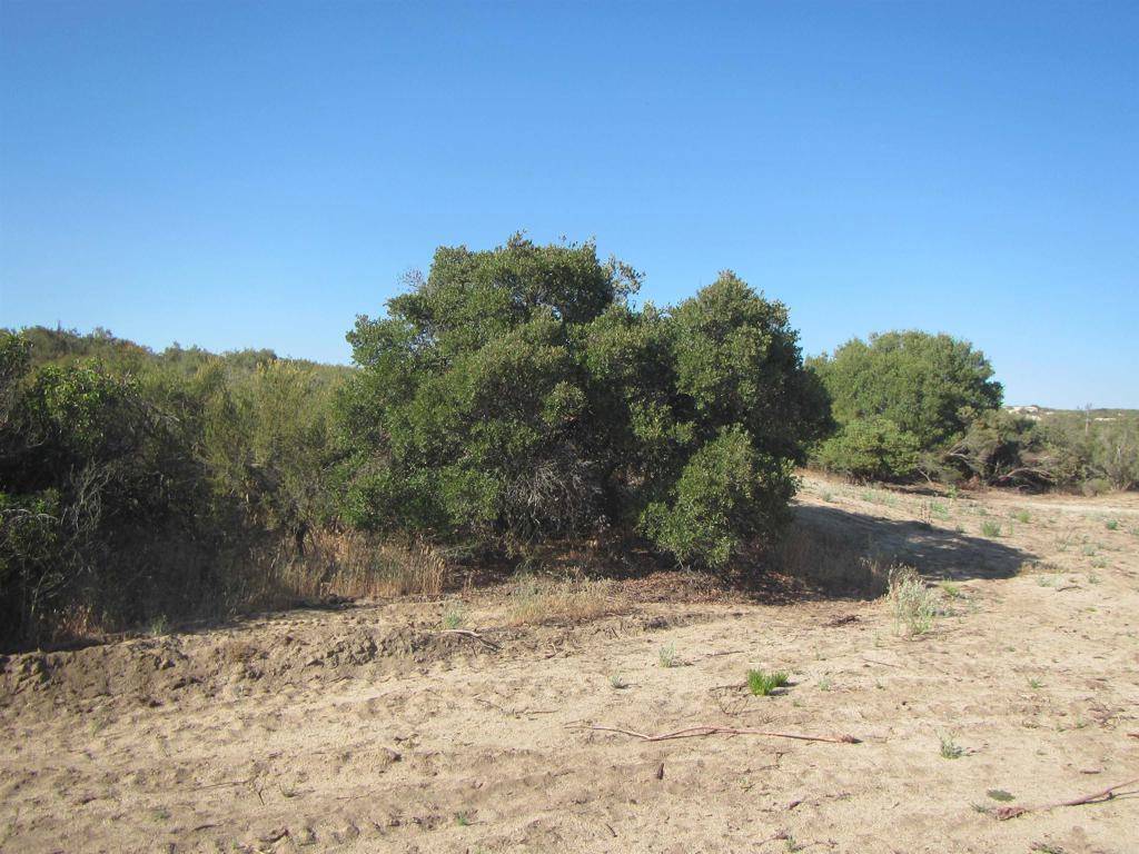 Campo, CA 91906,10 ACRES FORREST GATE RD