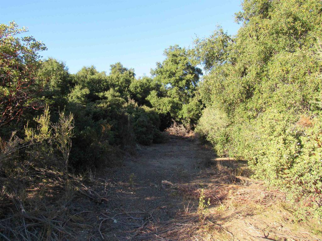 Campo, CA 91906,2115 N Campo Truck Trail