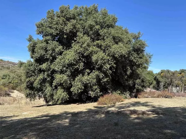 Campo, CA 91906,31282 Highway 94