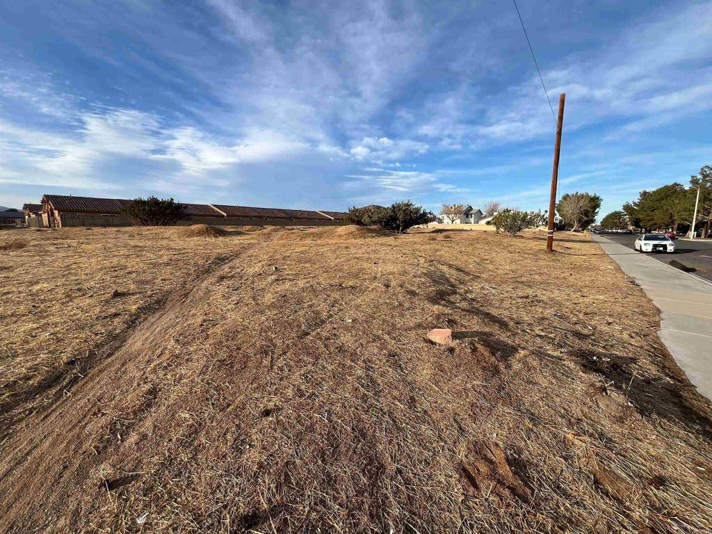 Hesperia, CA 92345,0 Muscatel St
