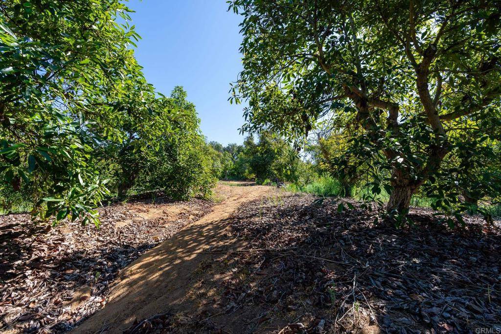Fallbrook, CA 92028,0 Wilt Road