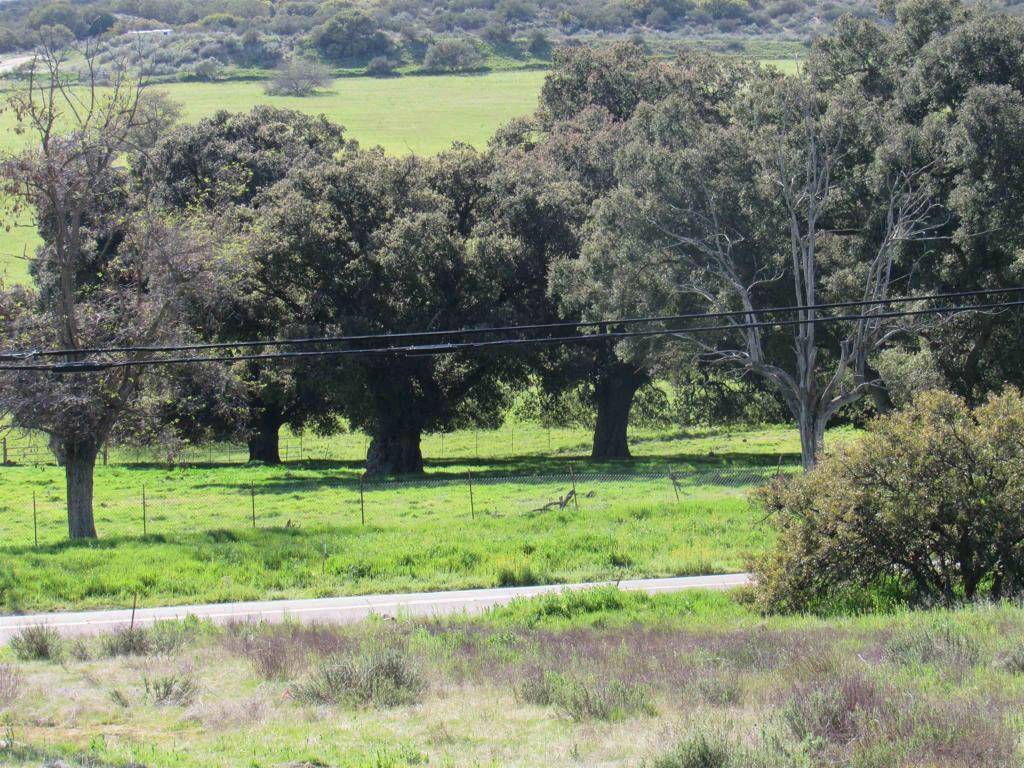 Campo, CA 91906,1899 Lake Morena DR