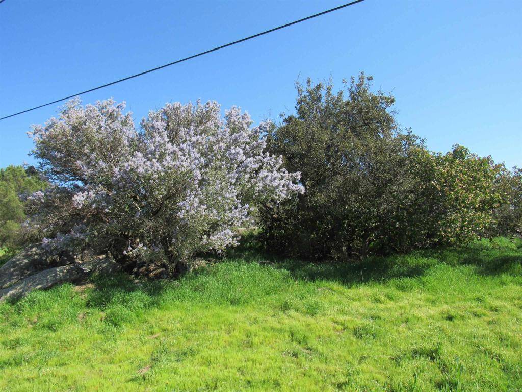 Campo, CA 91906,1899 Lake Morena DR