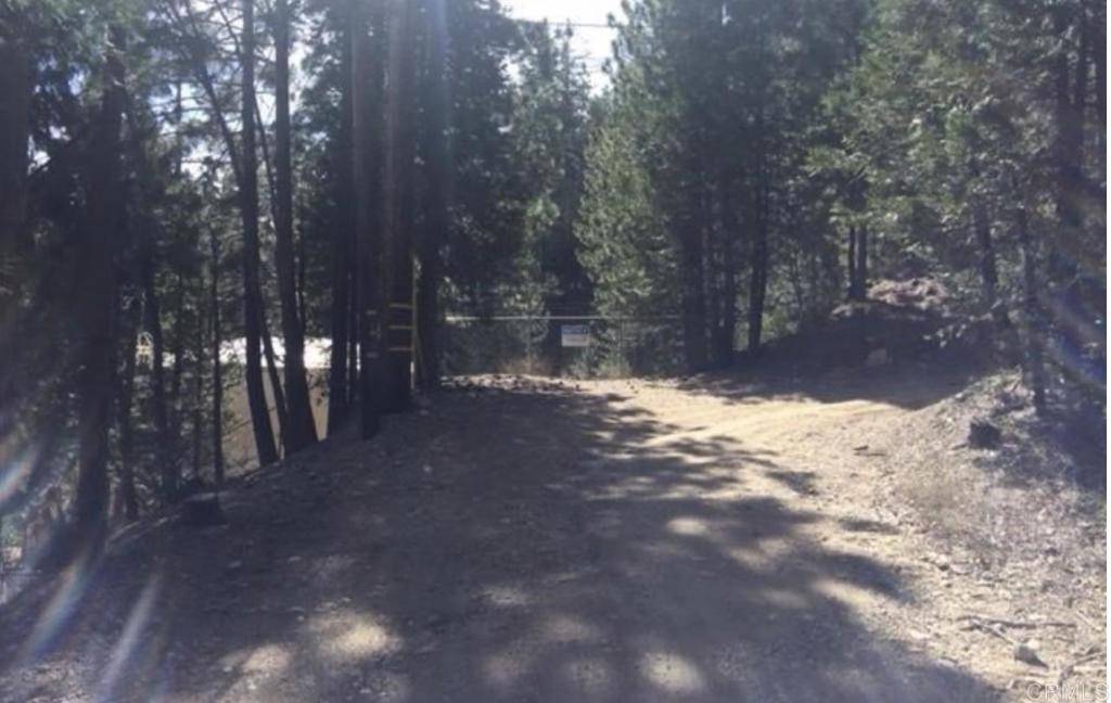 Stonehill DR, Cedar Glen, CA 92385