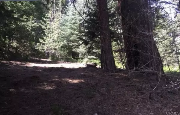 Cedar Glen, CA 92385,Stonehill DR