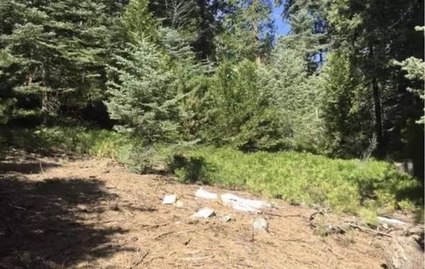 Cedar Glen, CA 92385,Stonehill DR