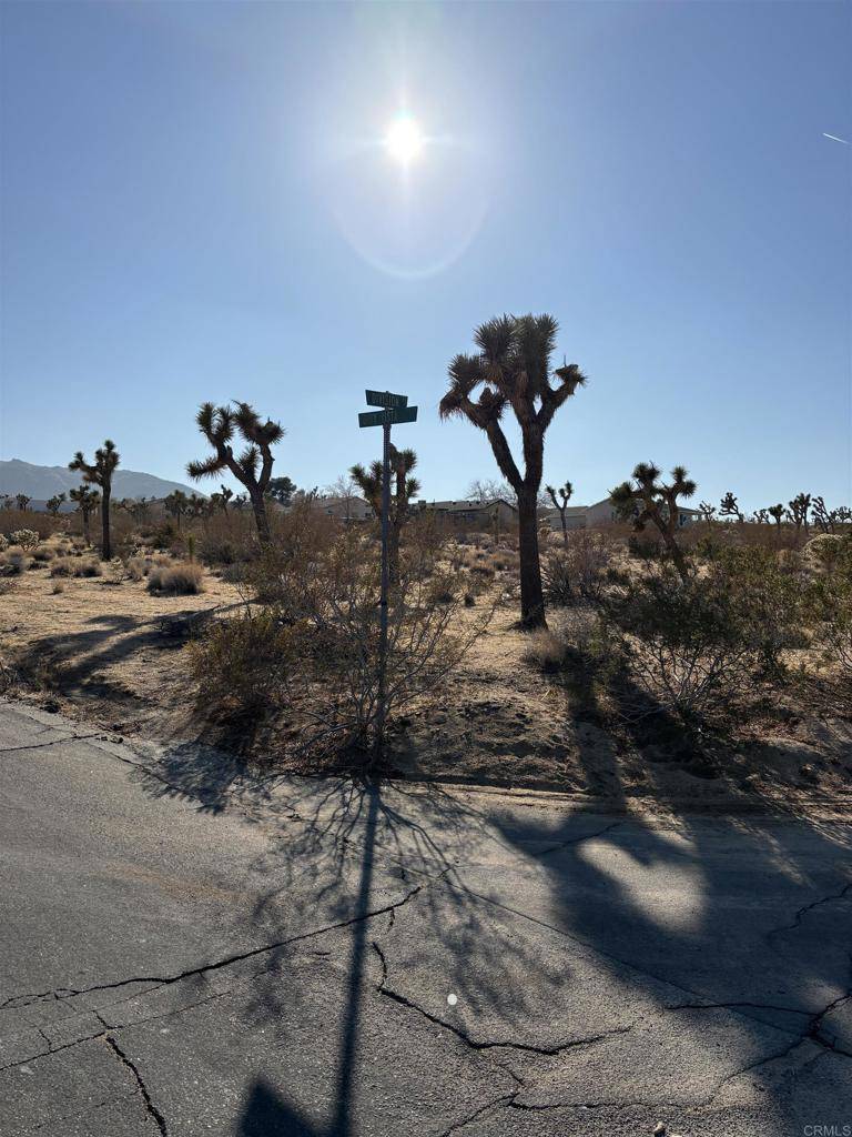 0 Division ST, Joshua Tree, CA 92252