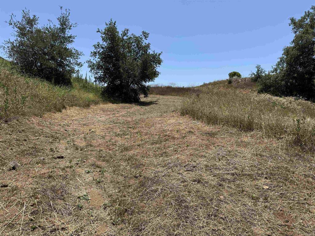 Temecula, CA 92590,1 Via Tornado