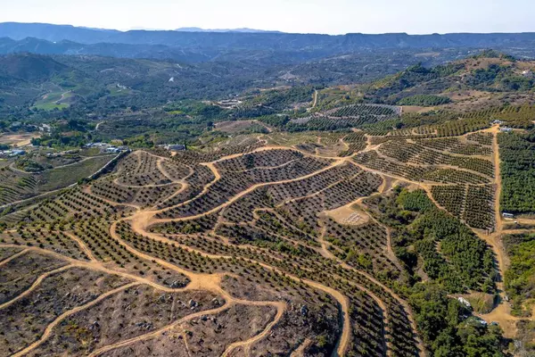 Temecula, CA 92590,45000 Rancho Fallbrook RD