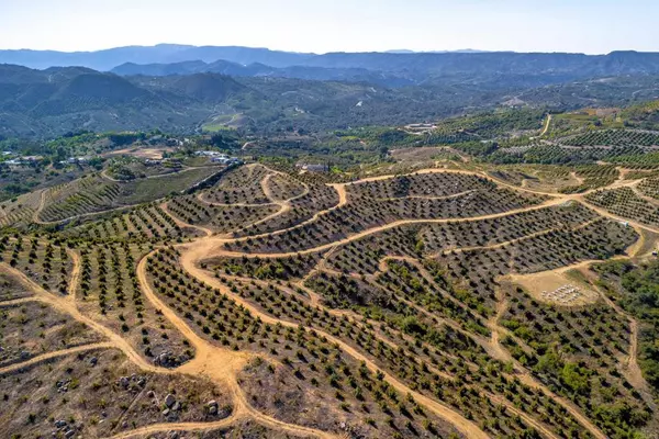45000 Rancho Fallbrook RD, Temecula, CA 92590