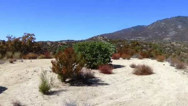 Anza, CA 92539,37245 Old Forest RD