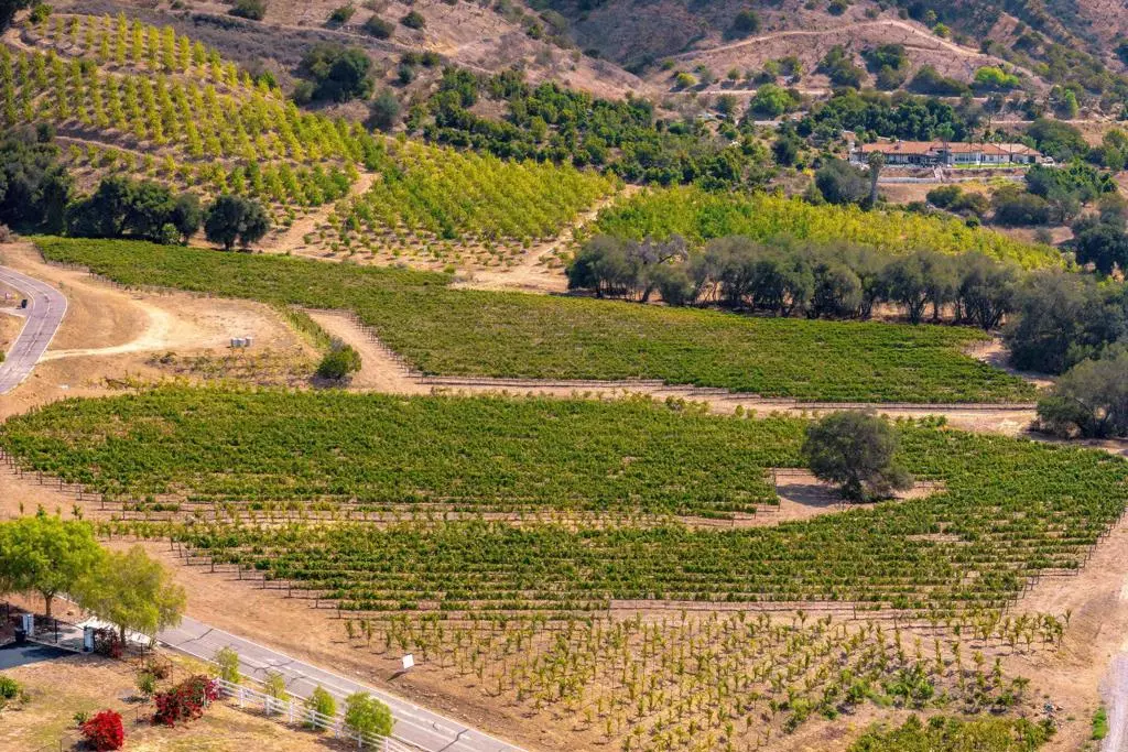 Temecula, CA 92590,1 Via Horca